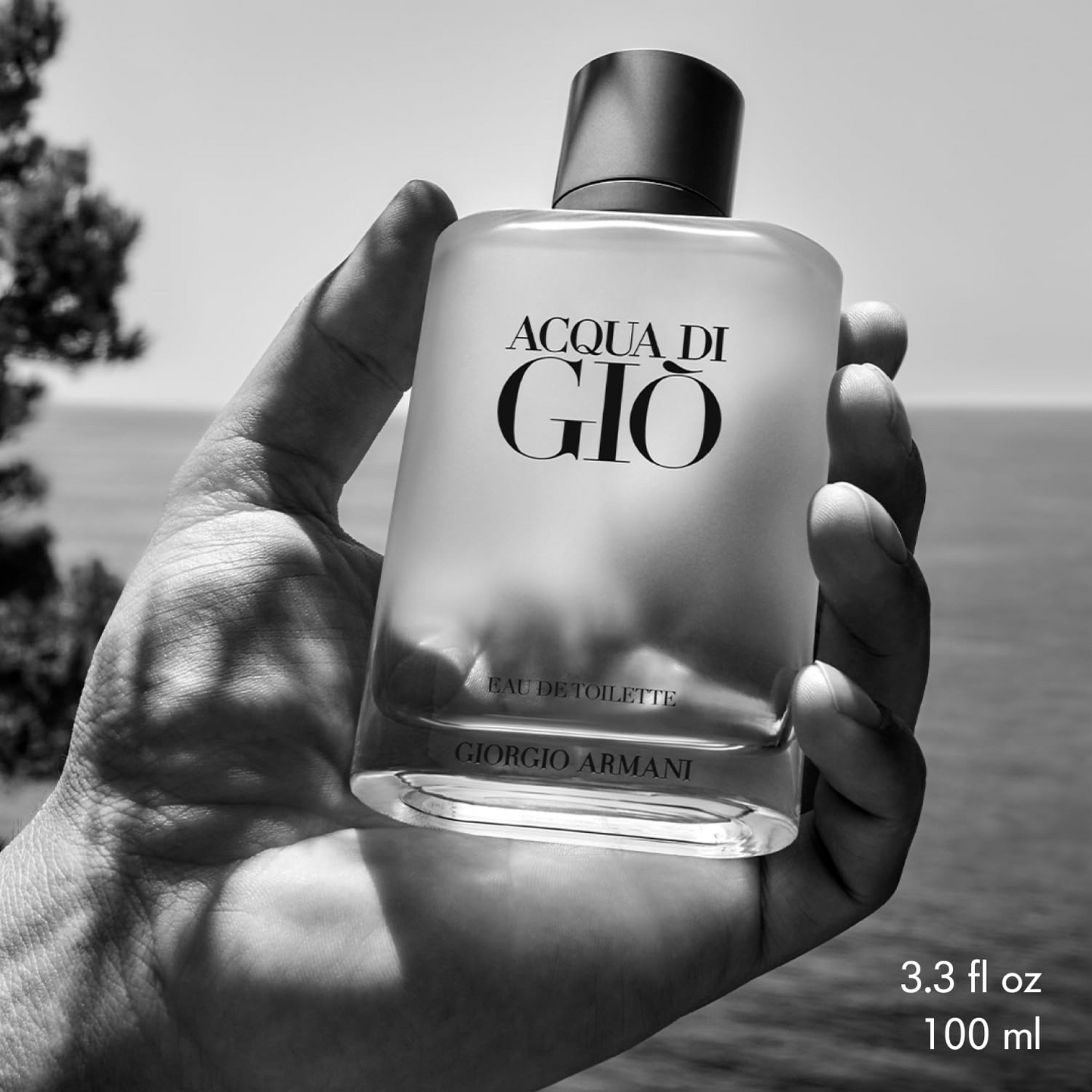 Giorgio Armani Acqua Di Gio Pour Homme